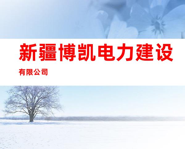 新疆博凯电力建设有限公司