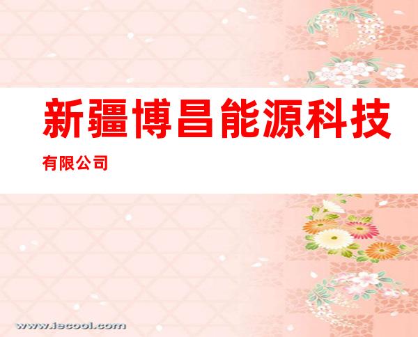新疆博昌能源科技有限公司