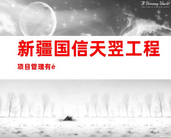 新疆国信天翌工程项目管理有限公司