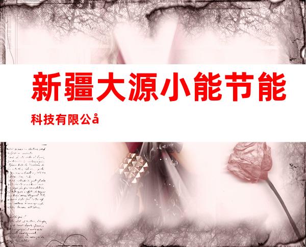 新疆大源小能节能科技有限公司