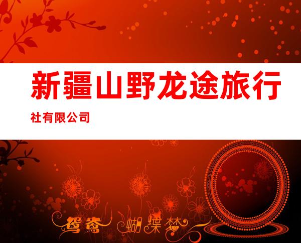 新疆山野龙途旅行社有限公司