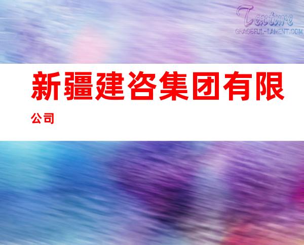 新疆建咨集团有限公司