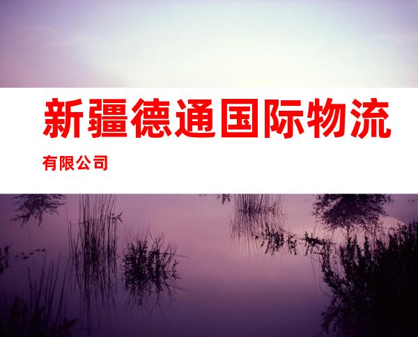 新疆德通国际物流有限公司