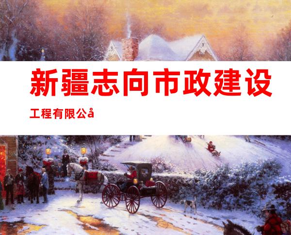 新疆志向市政建设工程有限公司
