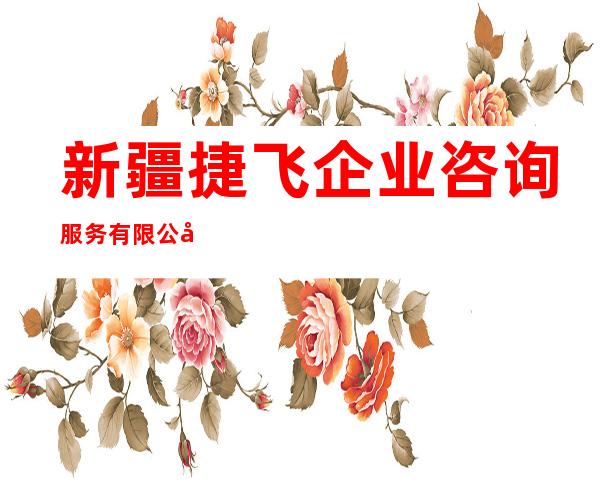 新疆捷飞企业咨询服务有限公司