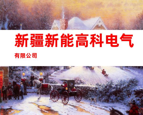 新疆新能高科电气有限公司