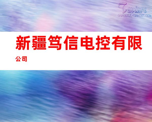 新疆笃信电控有限公司