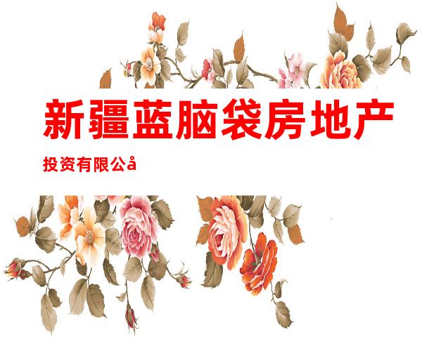 新疆蓝脑袋房地产投资有限公司