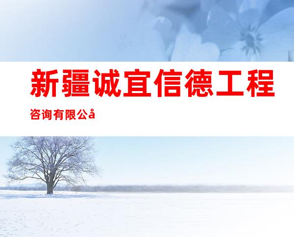 新疆诚宜信德工程咨询有限公司