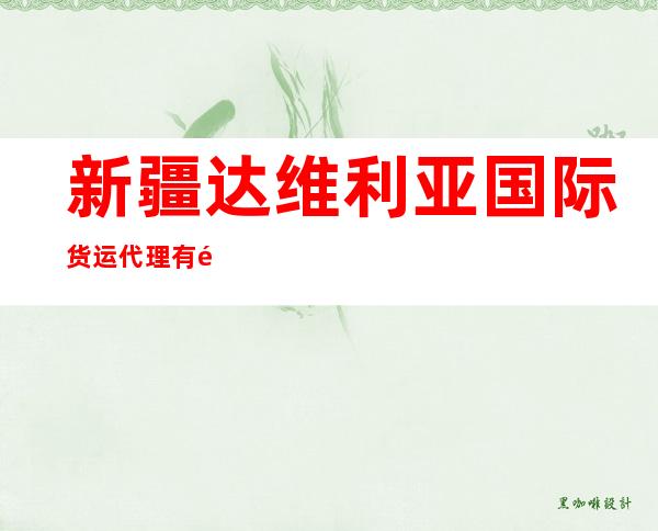 新疆达维利亚国际货运代理有限公司