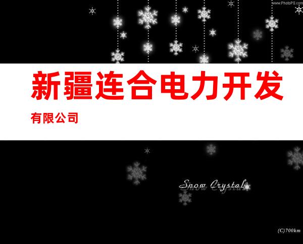 新疆连合电力开发有限公司