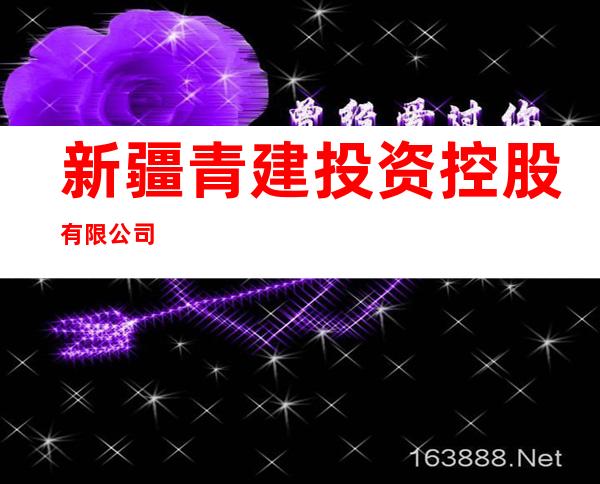 新疆青建投资控股有限公司