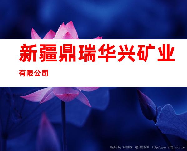 新疆鼎瑞华兴矿业有限公司