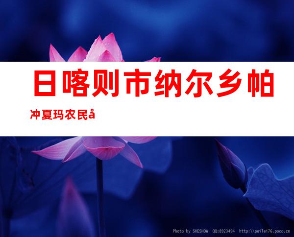 日喀则市纳尔乡帕冲夏玛农民建筑队