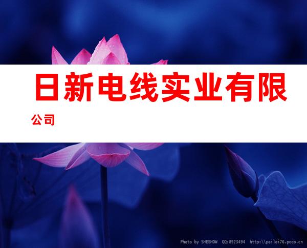 日新电线实业有限公司