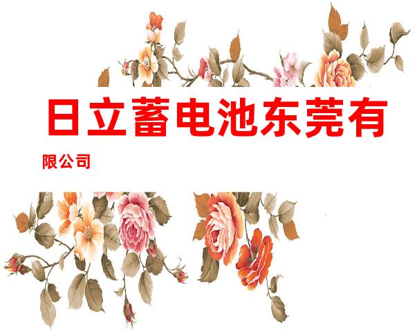 日立蓄电池东莞有限公司