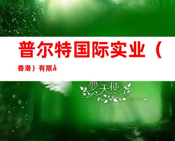 普尔特国际实业（香港）有限公司