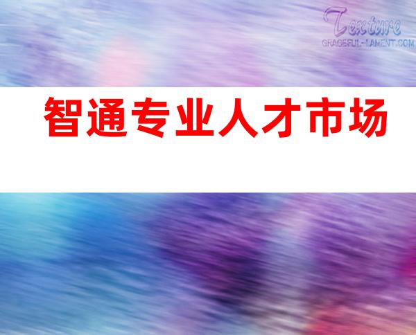 智通专业人才市场