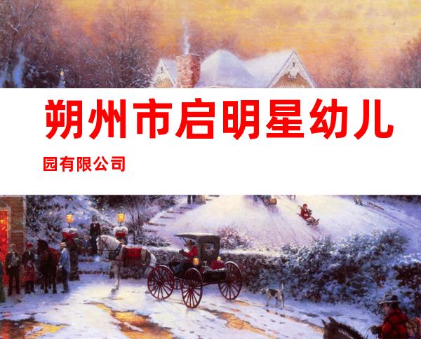 朔州市启明星幼儿园有限公司