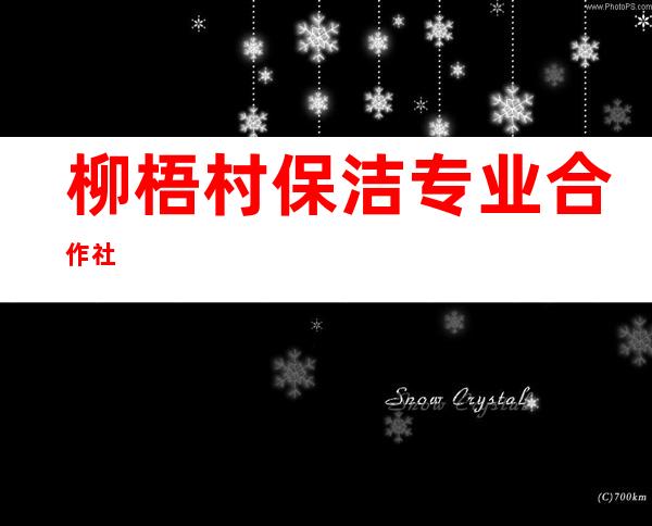 柳梧村保洁专业合作社