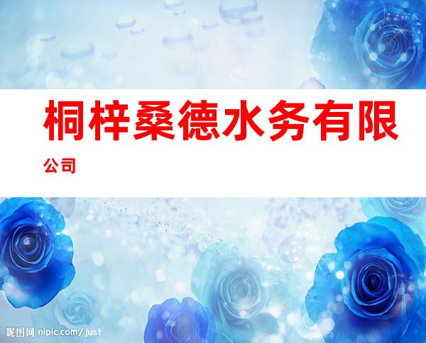 桐梓桑德水务有限公司
