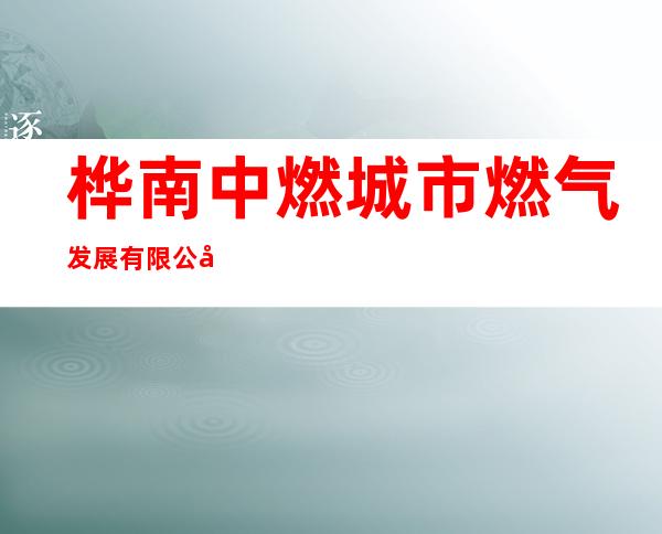 桦南中燃城市燃气发展有限公司南环路汽车加气站
