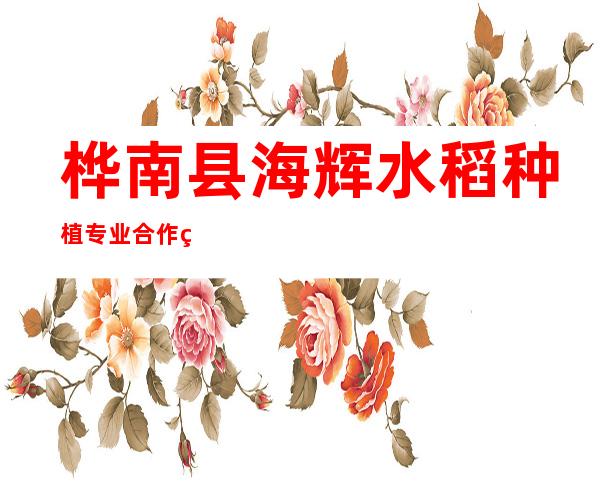 桦南县海辉水稻种植专业合作社