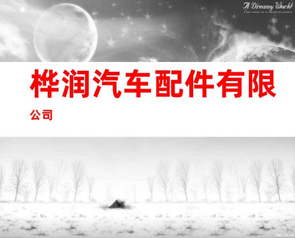 桦润汽车配件有限公司