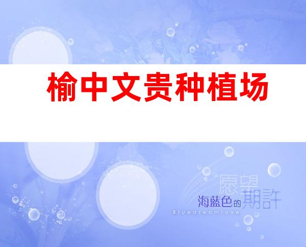 榆中文贵种植场