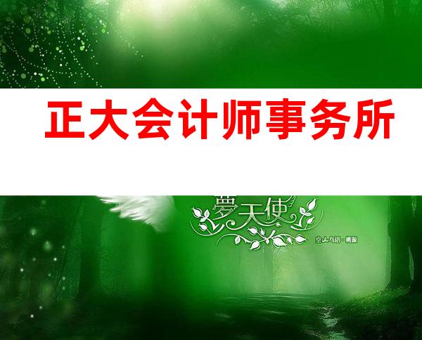 正大会计师事务所