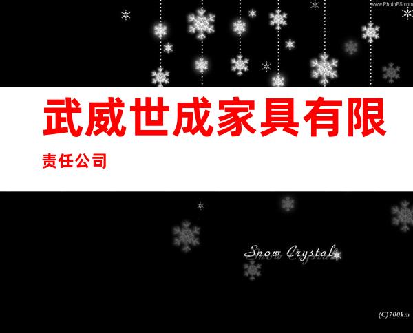 武威世成家具有限责任公司