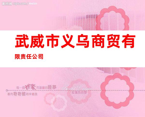 武威市义乌商贸有限责任公司