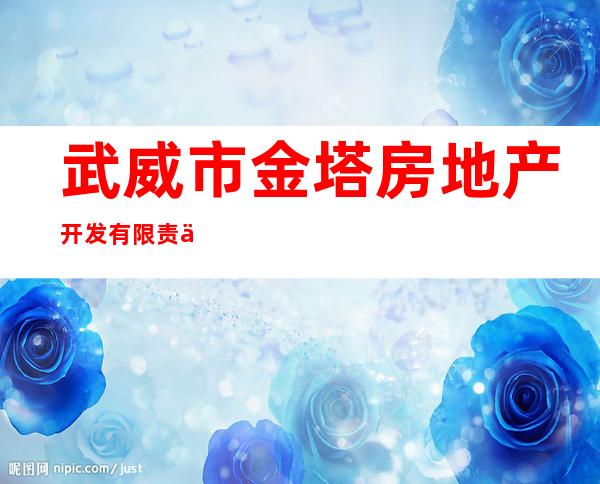 武威市金塔房地产开发有限责任公司