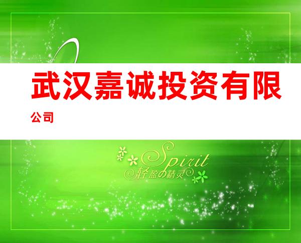 武汉嘉诚投资有限公司