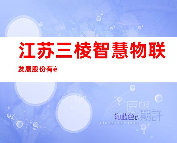 江苏三棱智慧物联发展股份有限公司宁夏分公司