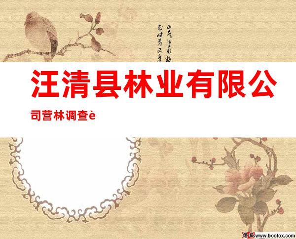 汪清县林业有限公司营林调查设计队