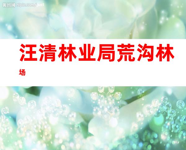 汪清林业局荒沟林场