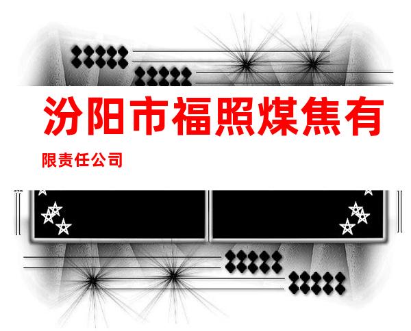 汾阳市福照煤焦有限责任公司