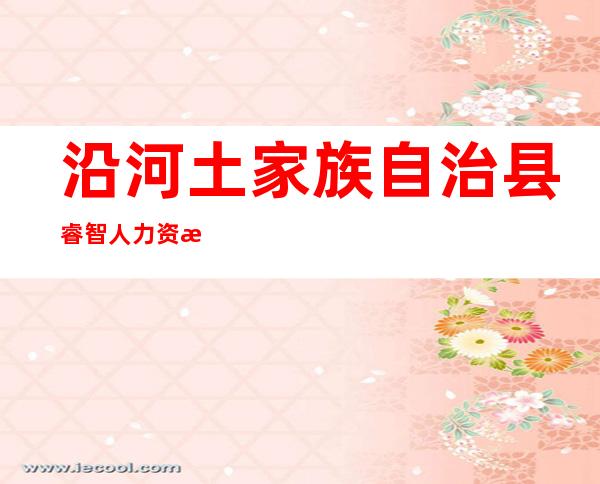 沿河土家族自治县睿智人力资源管理有限公司