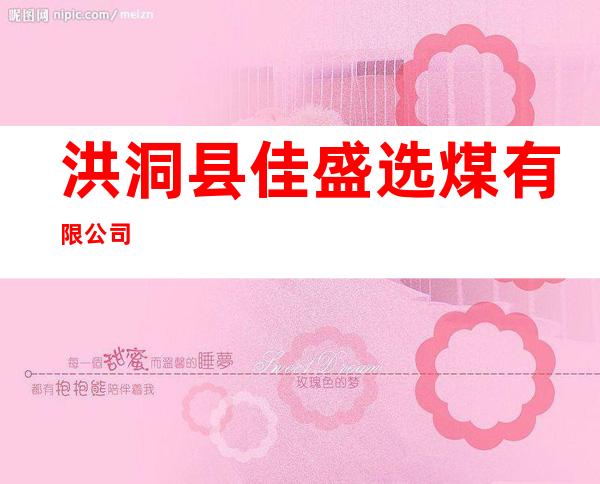 洪洞县佳盛选煤有限公司