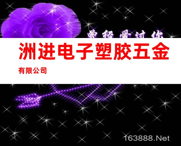 洲进电子塑胶五金有限公司