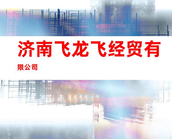 济南飞龙飞经贸有限公司