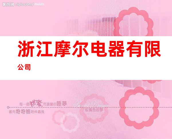 浙江摩尔电器有限公司