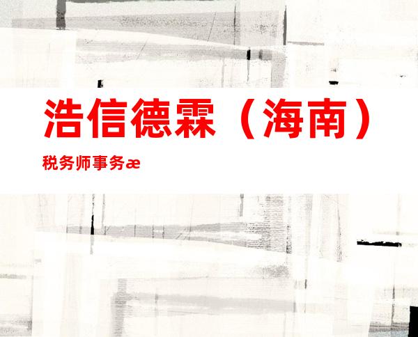 浩信德霖(海南)税务师事务所有限公司