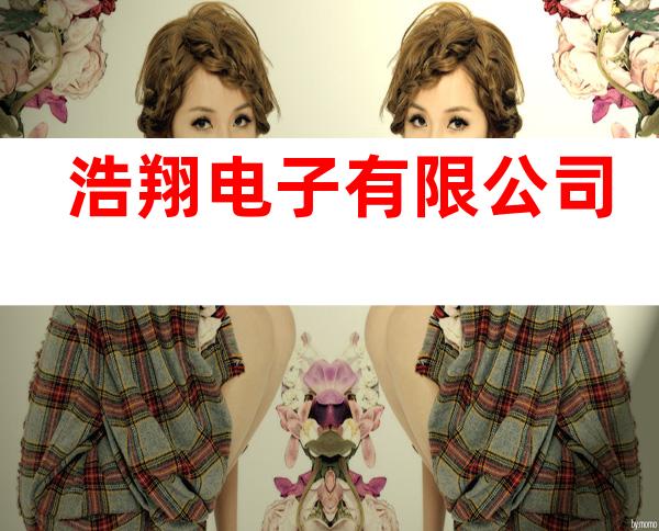 浩翔电子有限公司