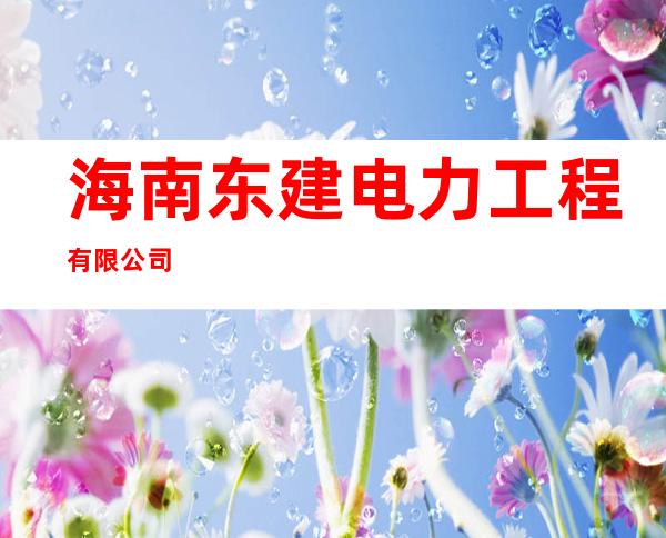 海南东建电力工程有限公司
