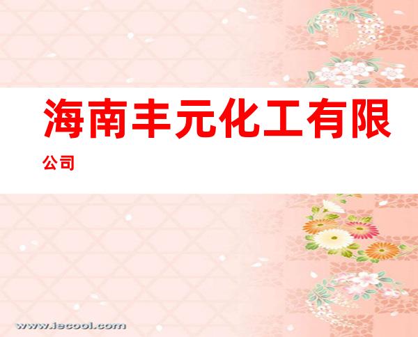 海南丰元化工有限公司