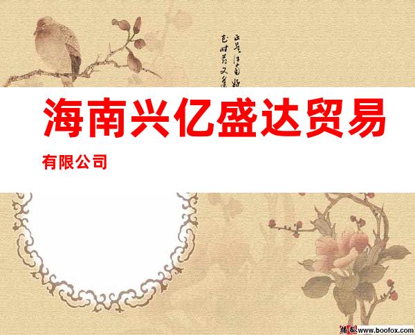 海南兴亿盛达贸易有限公司