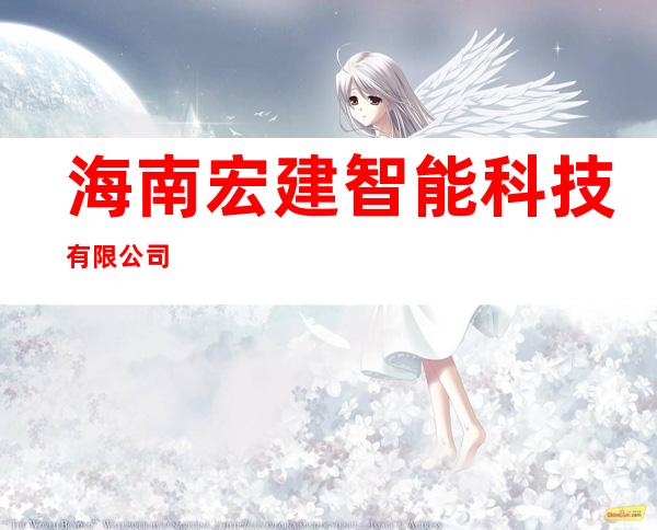 海南宏建智能科技有限公司