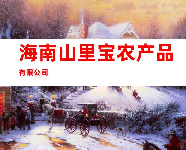海南山里宝农产品有限公司